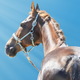 Illustration for article titled So a racehorse runs into a bar…